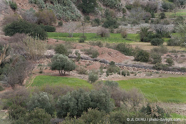 Maroc
Vallée de l'Ourika